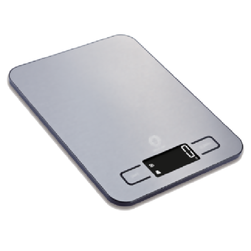 Green Lion Electric Scale 10Kg Max – Silver